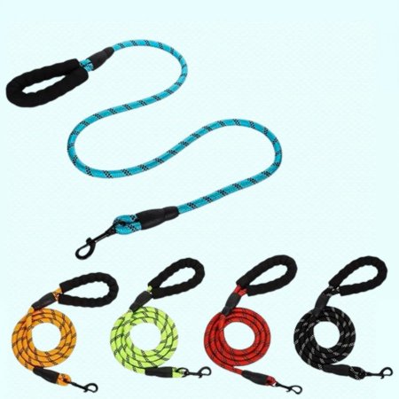 حبل كلب سادة كبير